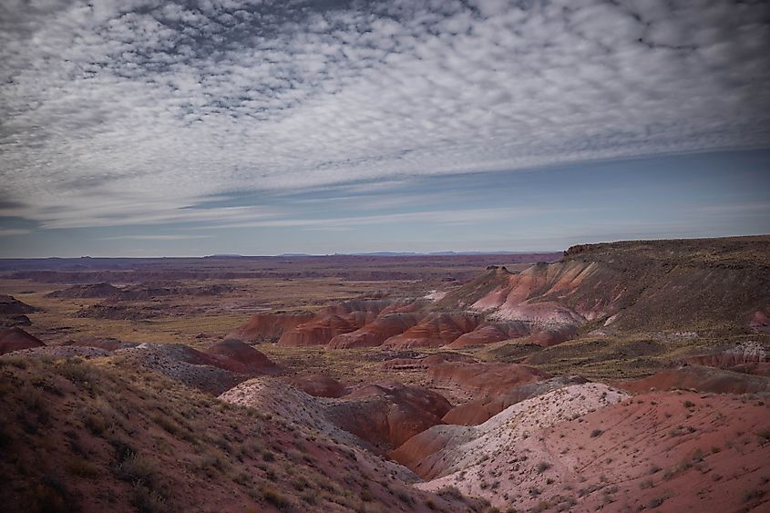 A roadside viewpoint within Petrified Forest National Park.