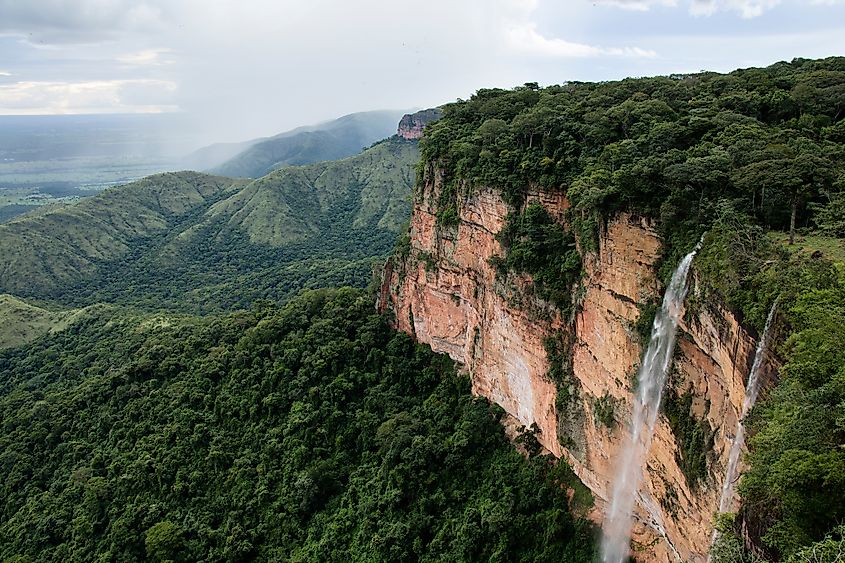 Cerrado Biodiversity Hotspot Worldatlas 1032