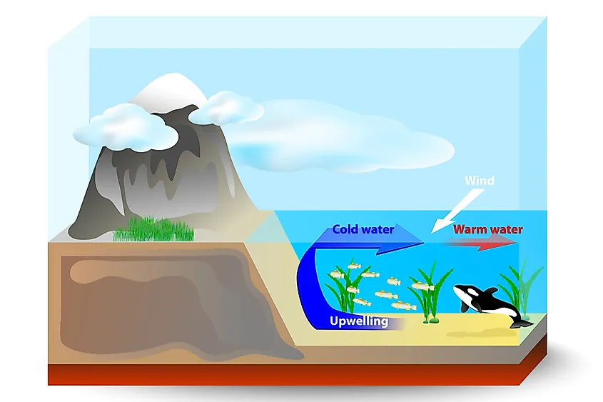 Cold water rising to the surface during ocean upwelling