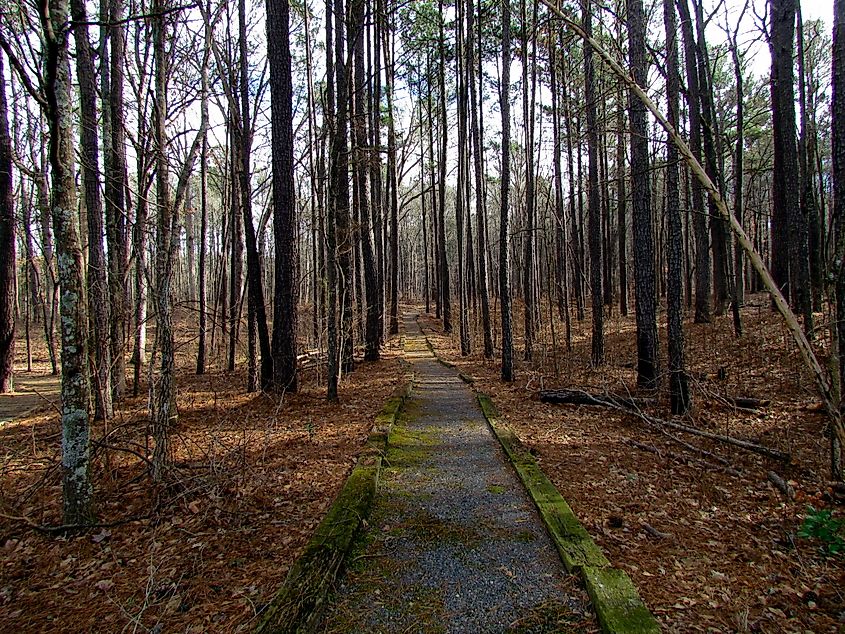 Pee Dee National Wildlife Refuge