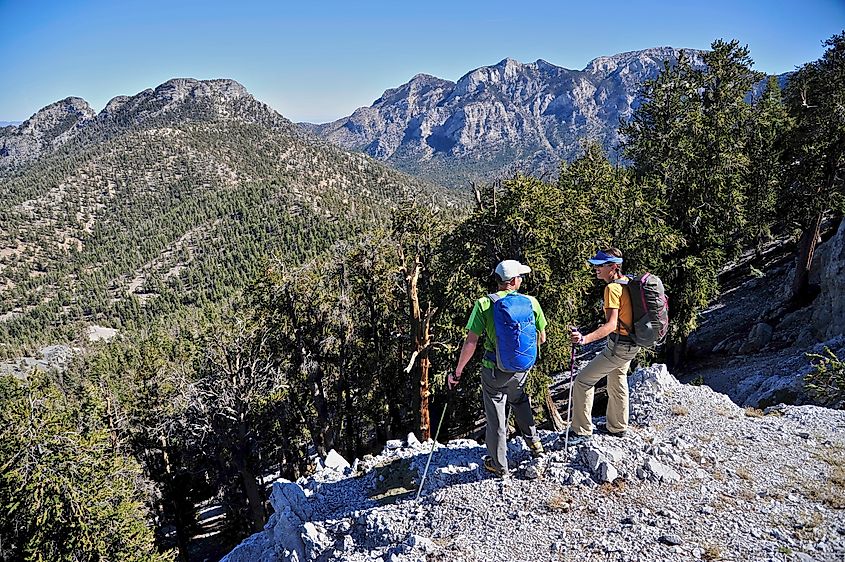 People hiking Mount Charleston in Nevada.