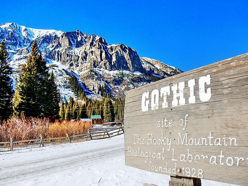 Sign in Gothic, Colorado.
