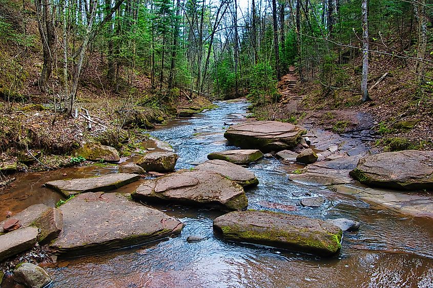 Lost Creek near Cornucopia, Wisconsin