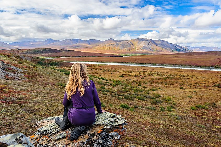 The Noatak River winding through the Noatak Wilderness in Alaska.
