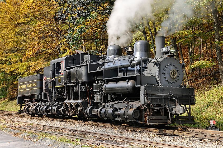 Train passing through the Cass Scenic Railroad State Park.