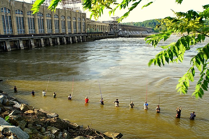 Anglers lined up to fish and cast their lure on the water near Conowingo Dam.