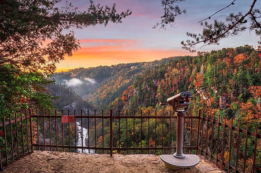 The scenic view of the Tallulah Gorge from a viewpoint.