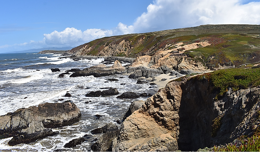 Sonoma Coast State Park in California.