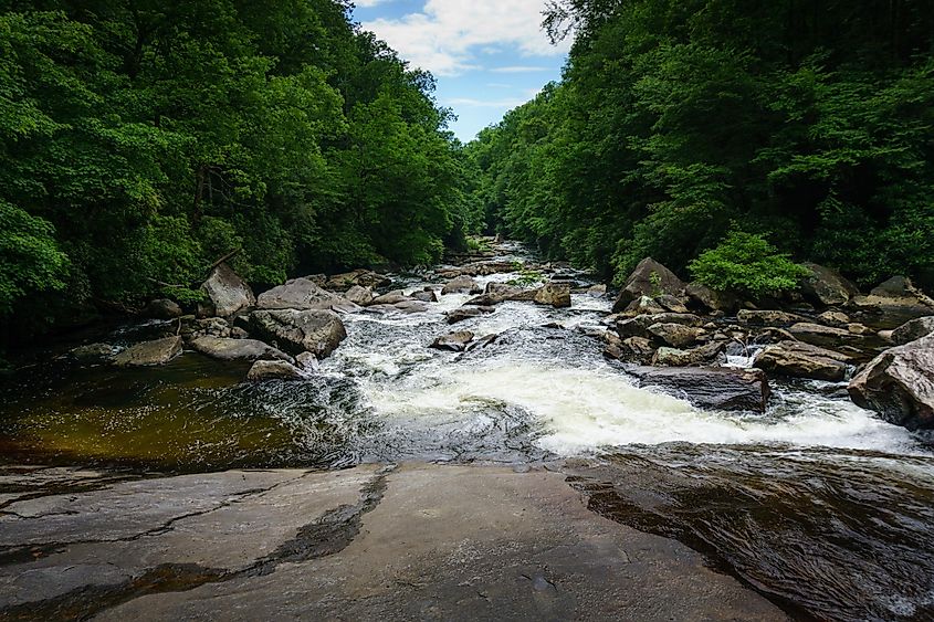 The beautiful Gorges State Park in North Carolina.