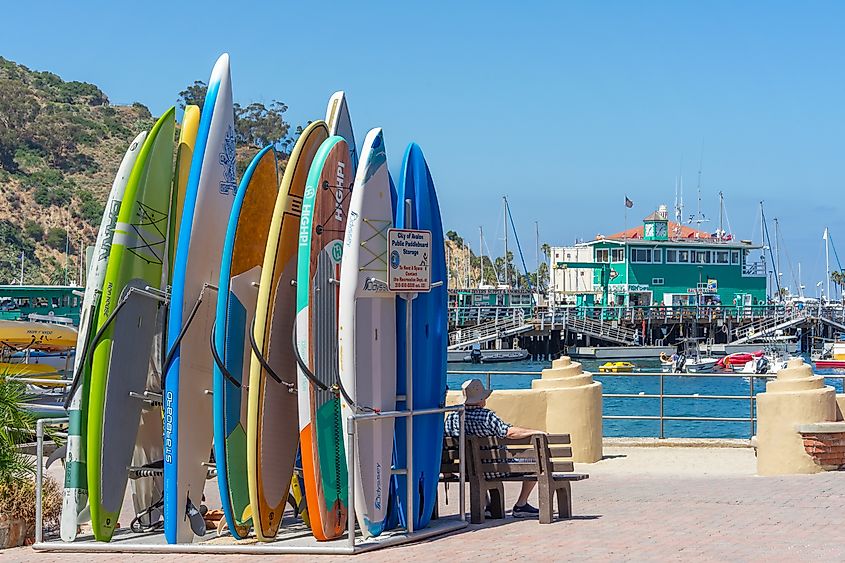 Surfboards stacked up along the waterfront in Avalon, California
