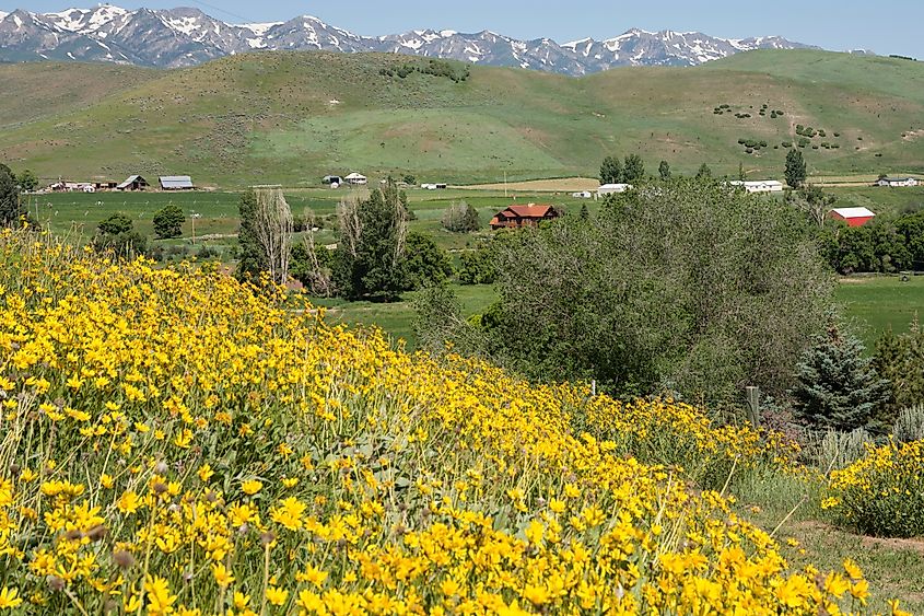 Mountains near the town of Morgan in Utah.