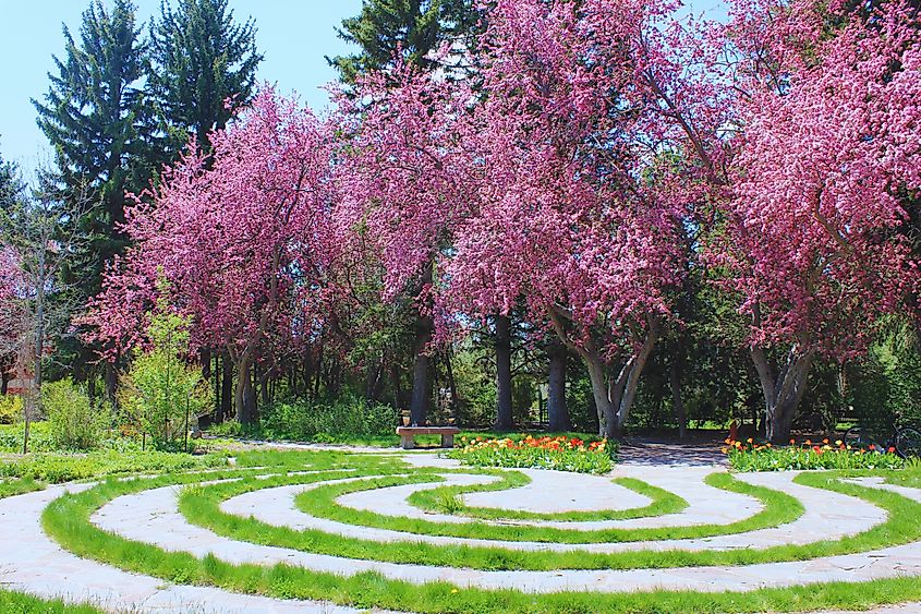 Scenic pink foliage in the Cheyenne Botanic Gardens in Cheyenne, Wyoming.