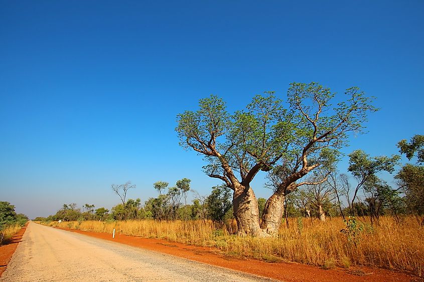 Landscape in the Kimberley region of Western Australia