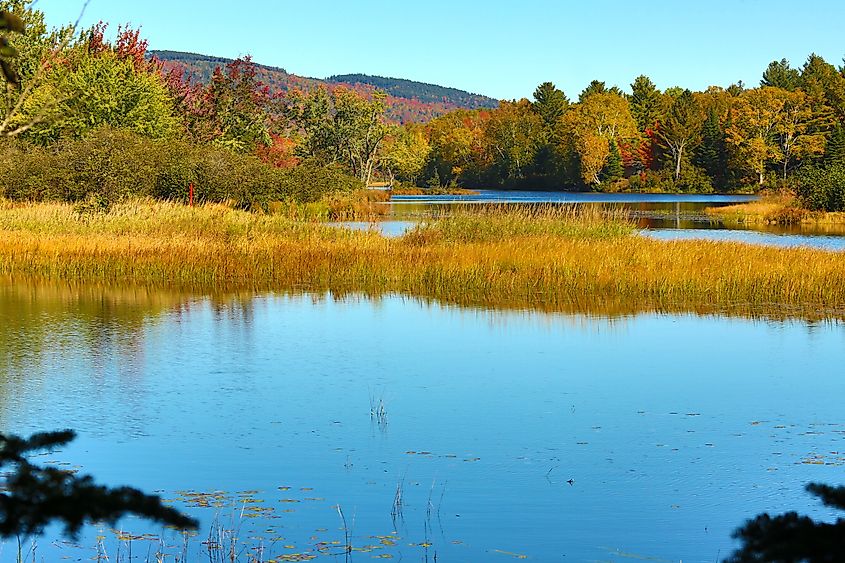 Umbagog National Wildlife Refuge in Errol, New Hampshire.