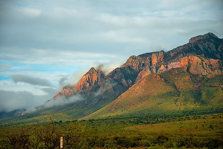 The Chiricahua Mountains Eastern Arizona
