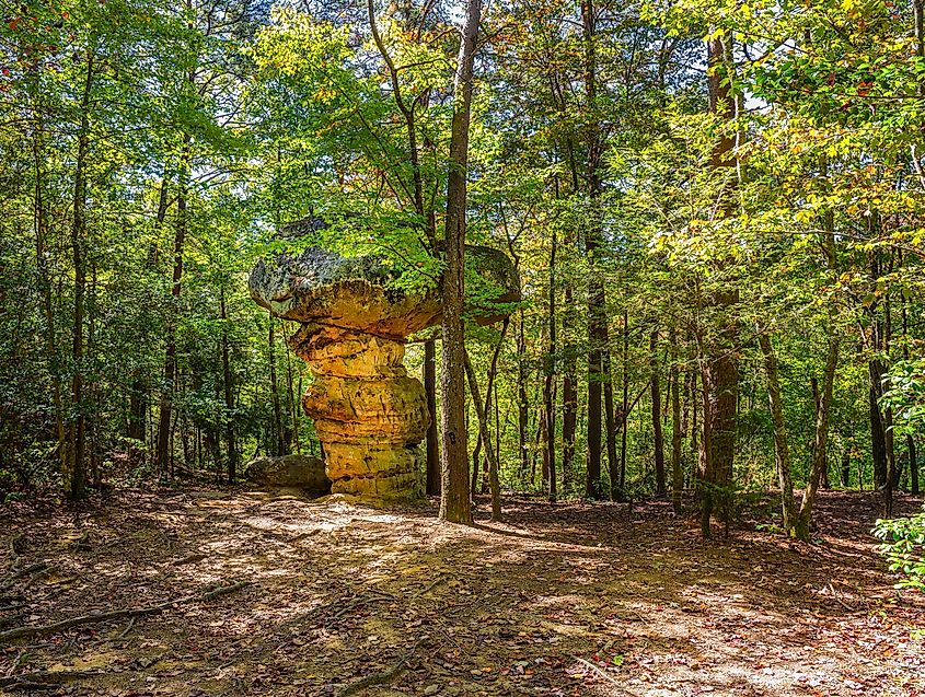 Mushroom Rock on Signal Mountain, TN, is a sandstone pedestal rock.