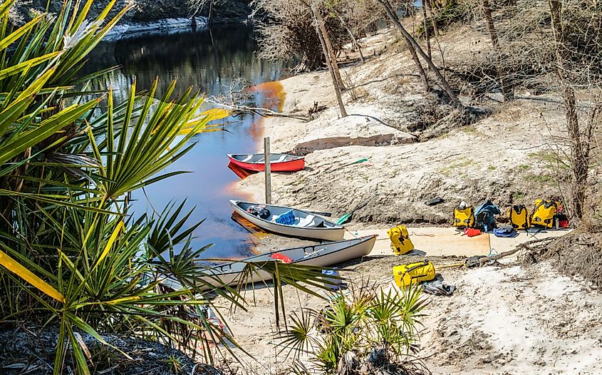 The Suwannee River in Florida.