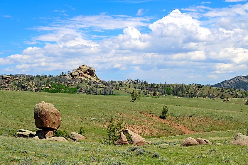  Medicine Bow-Routt National Forest. 