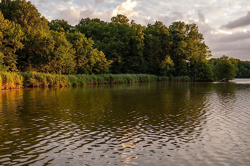 Sunrise over the lake at Lums Pond State Park in Delaware.