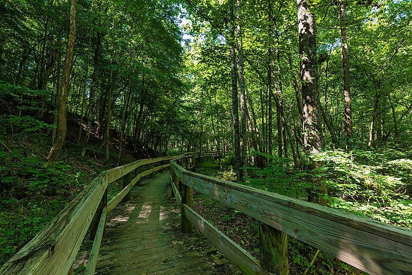 A trail in Persimmon Ridge Park in Jonesborough, Tennessee.