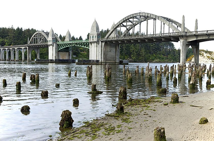 Scenic view of bridge crossings over a river with tree stumps in Florence, Oregon.