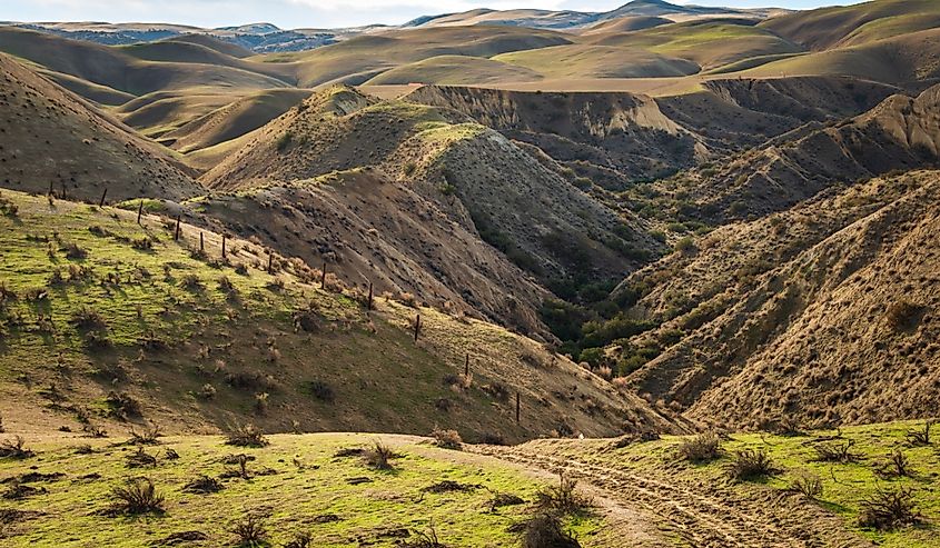 Carrizo Plain National Monument, California