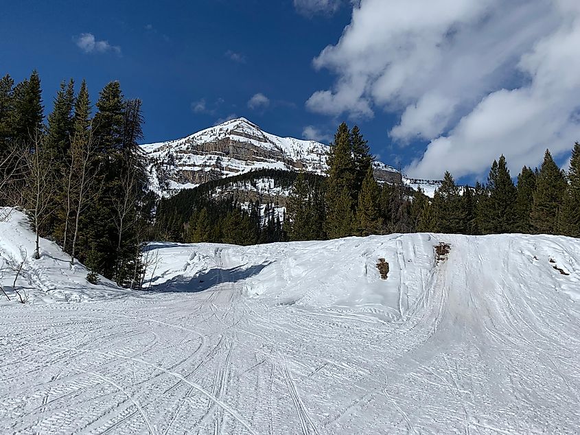 Snowmobile trails winding through the picturesque landscape of Pinedale, Wyoming.