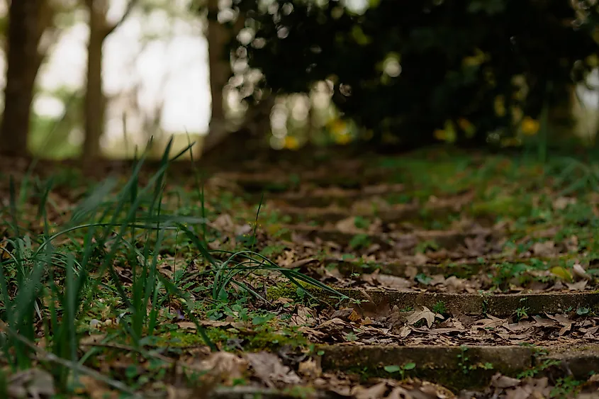 Stairs along a hilly pathway in St. Francisville, Louisiana.