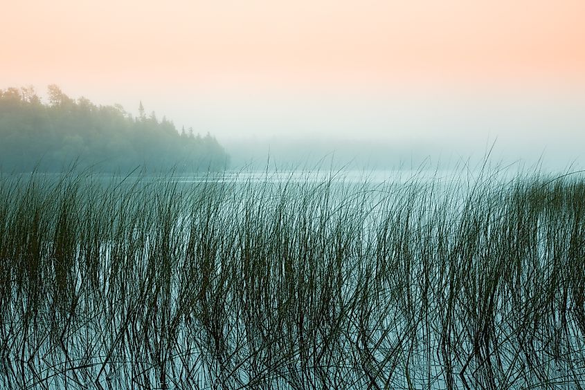 A veil of fog begins to lift revealing a serene forest lake 