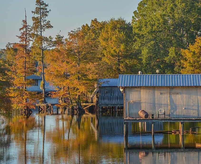 A boathouse among Bald Cypress Trees along the shoreline of Lake D''Arbonne in Farmerville, Union Parish, Louisiana.