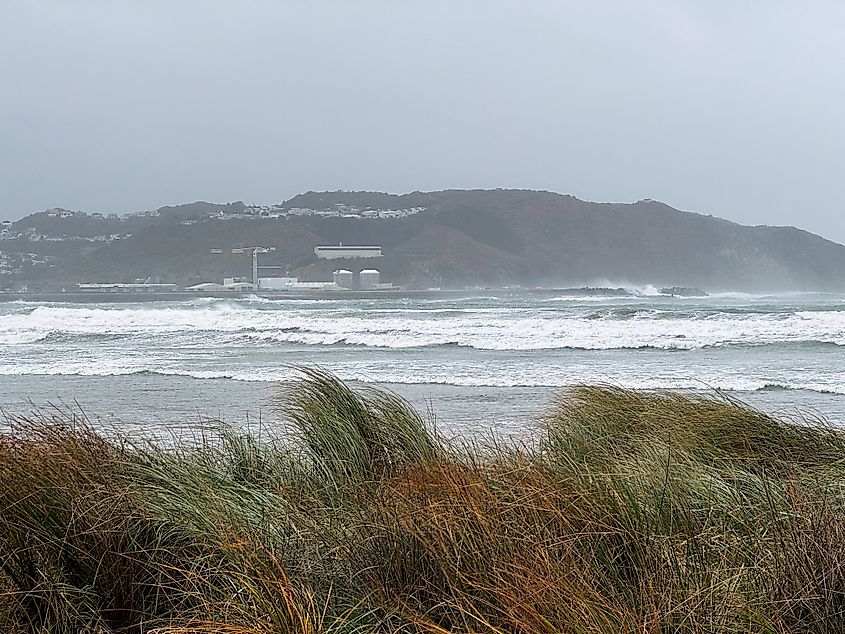 Powerful winds sweep across Lyall Bay in Wellington, New Zealand, creating rough sea conditions and dramatic coastal weather.