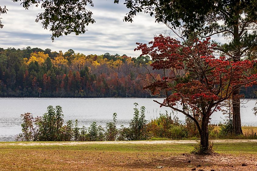 A scenic view of a lake surrounded by vibrant autumn trees at Cheraw State Park in Chesterfield County, South Carolina