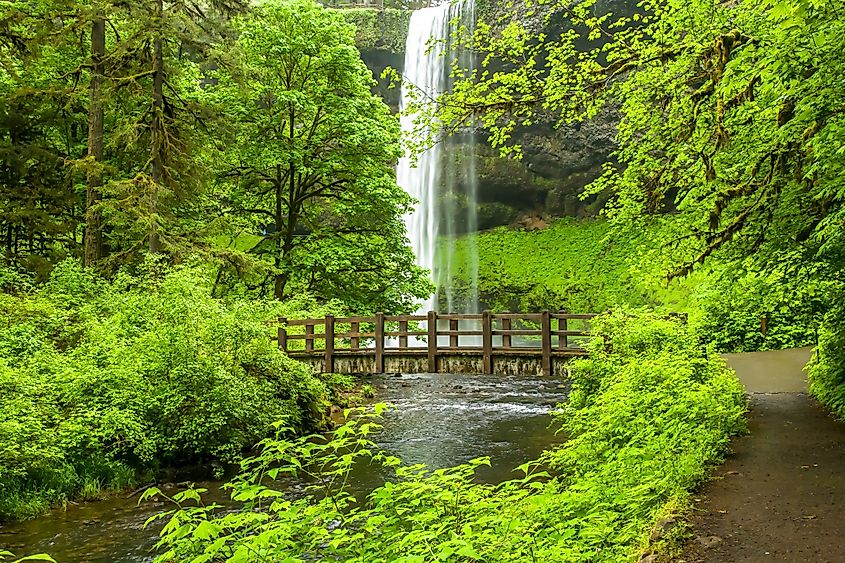 South falls and bridge over Silver creek in Silver Falls State Park. 