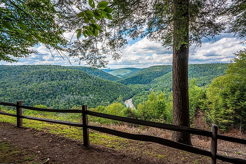View from Canyon Vista overlook in Worlds End State Park in Forksville, Pennsylvania.
