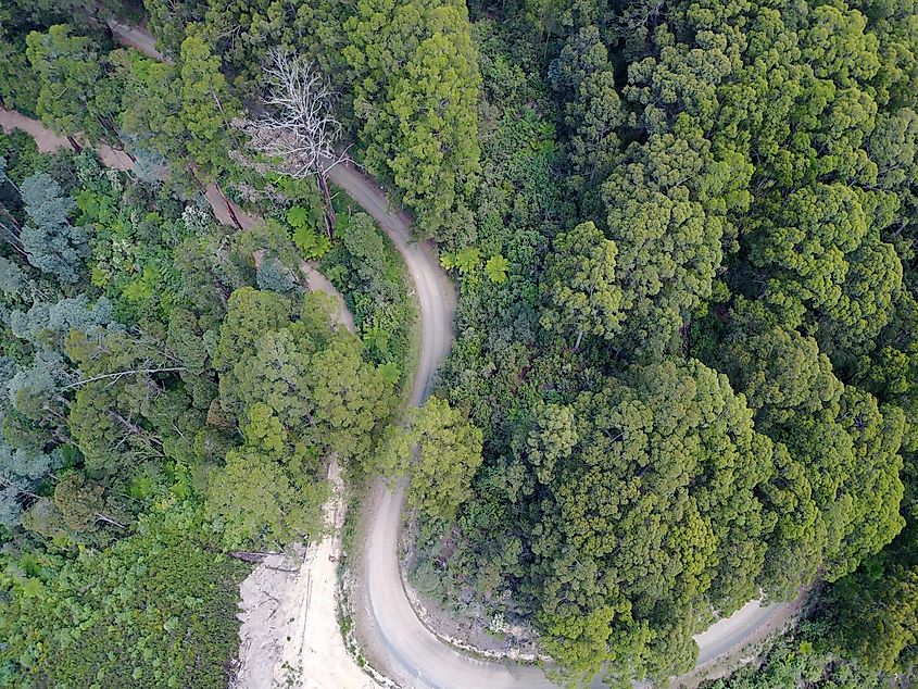 View of Grand Ridge Road, VIC, Australia