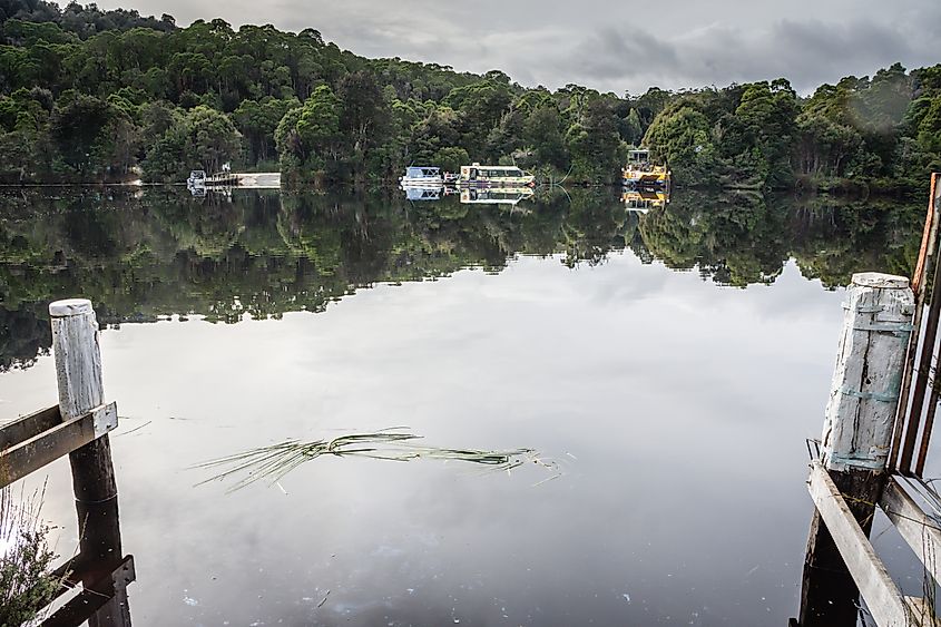 The Pieman River near the small holiday hamlet of Corinna, Tasmania, Australia.