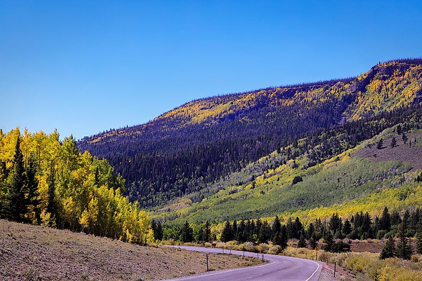 Fall colors near Fish Lake, Richfield, Utah, USA, along FR-036 Freemont River Road.