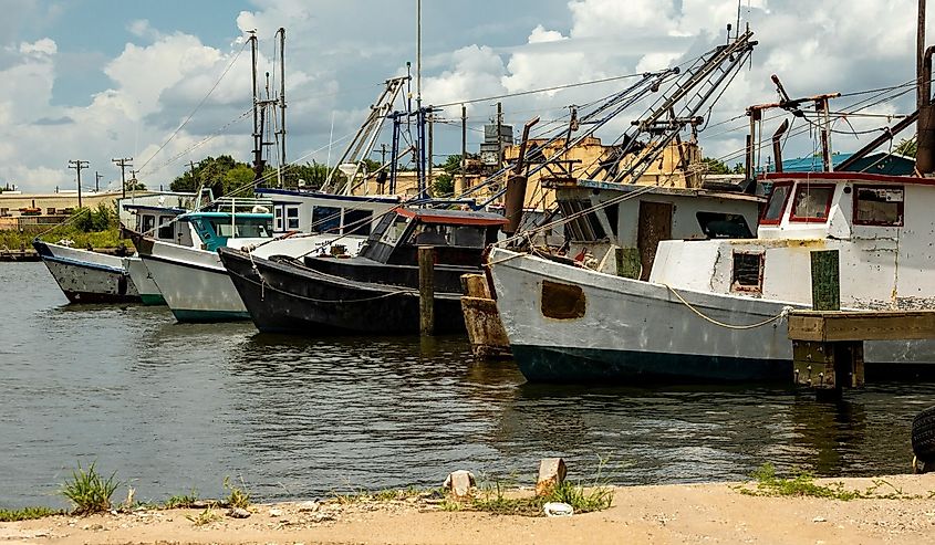 Row of fishing boats in Port Lavaca, Texas