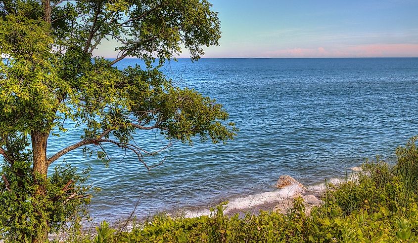 Illinois Beach State Park.