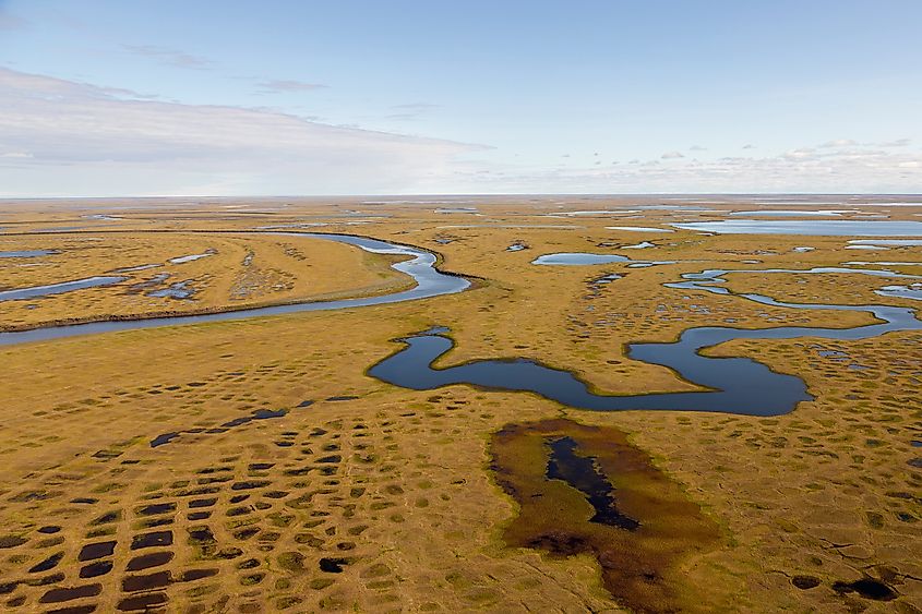 Aerial view of the tundra in the Lena River delta, Yakutia, Russia