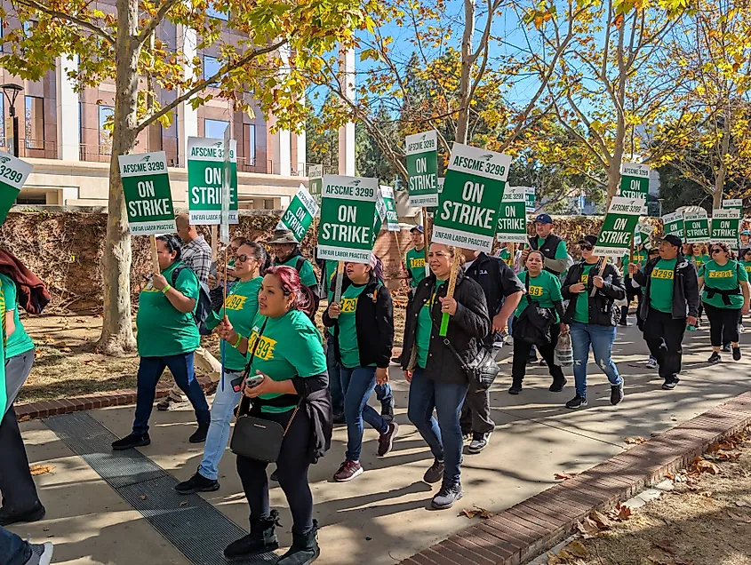 The American Federation of State, County and Municipal Employees (AFSCME) on strike at UCLA in November 21, 2024. Editorial credit: Noah Sauve / Shutterstock.com