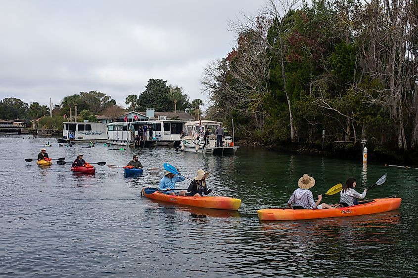 Tourists worldwide travel to Three Sisters Springs in Crystal River, Florida