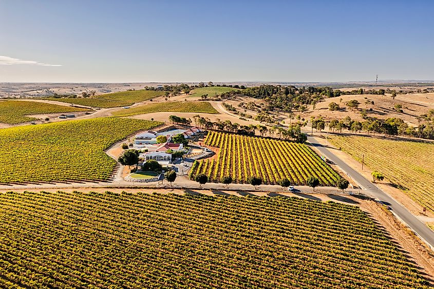 South Australia landscape.