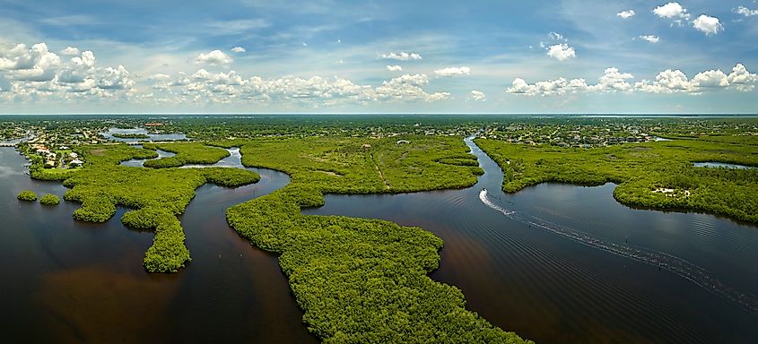 Aerial view of the Florida Everglades, showcasing green vegetation interspersed with ocean water inlets, forming a vast wetland habitat that supports diverse tropical species.