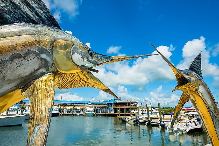 The Whale Harbor Marina in Islamorada, Florida