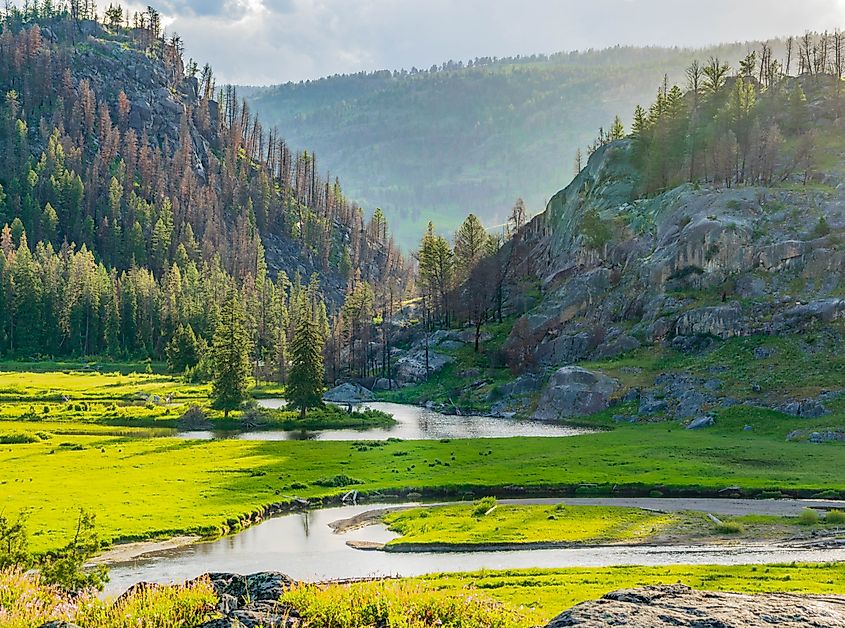 The Slough Creek Trail in Yellowstone National Park.