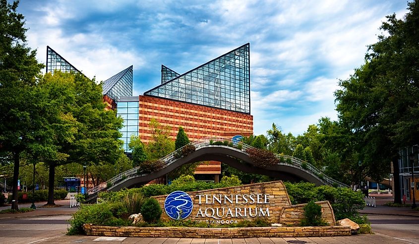 Tennessee Aquarium in Chattanooga, Tennessee.