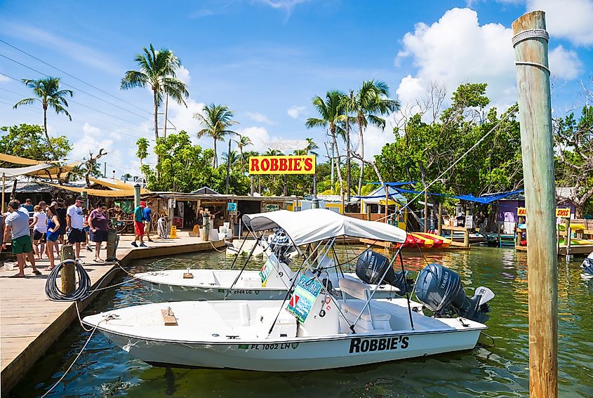 Robbies Marina in Islamorada, Florida