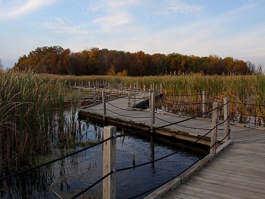 A boardwalk in Horicon Marsh, Wisconsin.