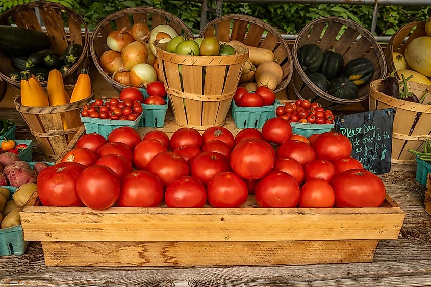 Local Farm Stand in New Jersey Selling Fresh Produce